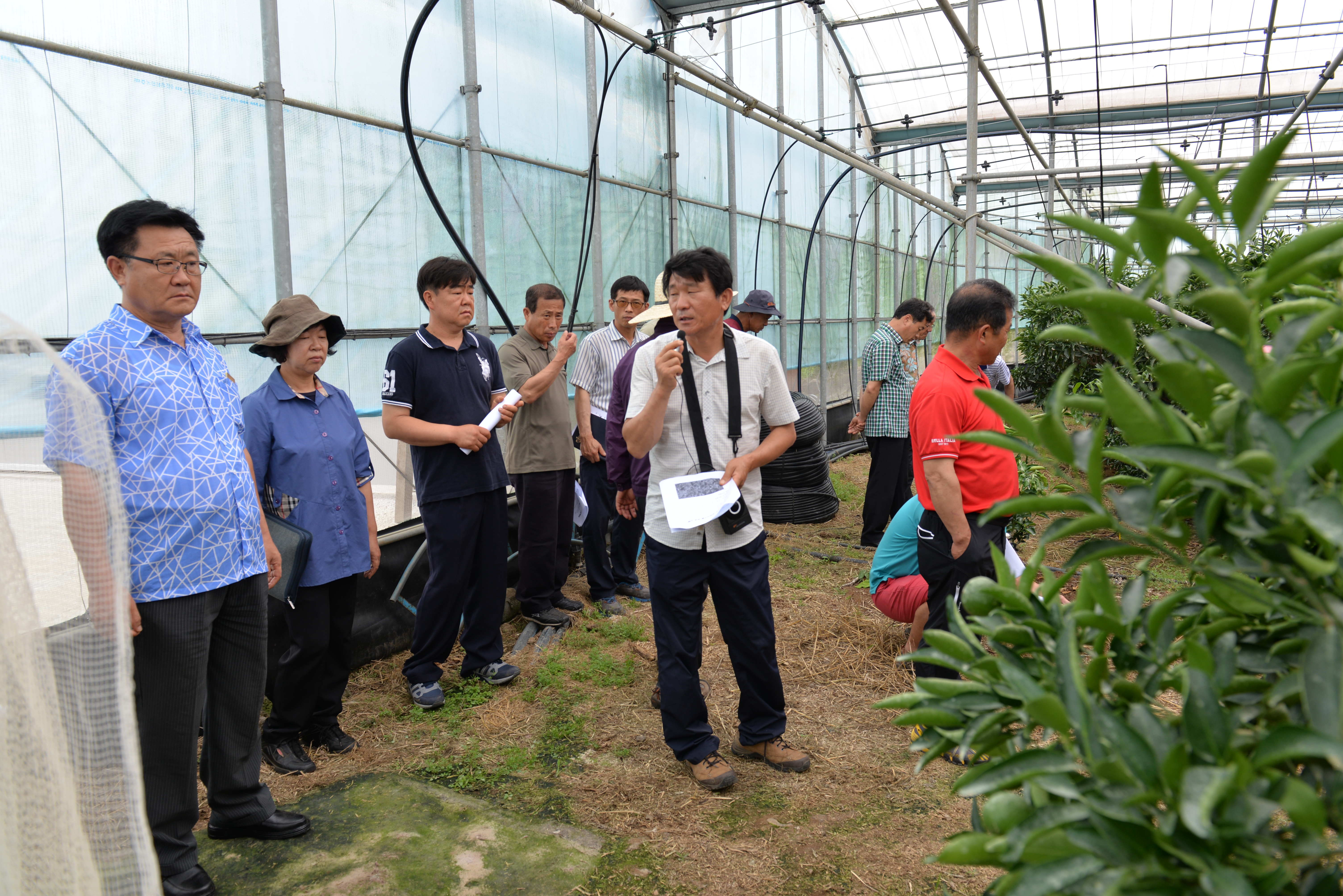 농촌지도사업 중간 평가회